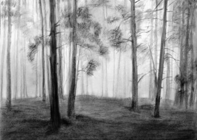 miško fragmentas popieriaus ir anglies piešiniai